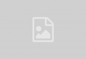 Placeholder Image Placeholder Image