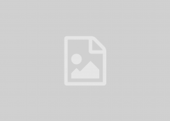 Placeholder Image Placeholder Image