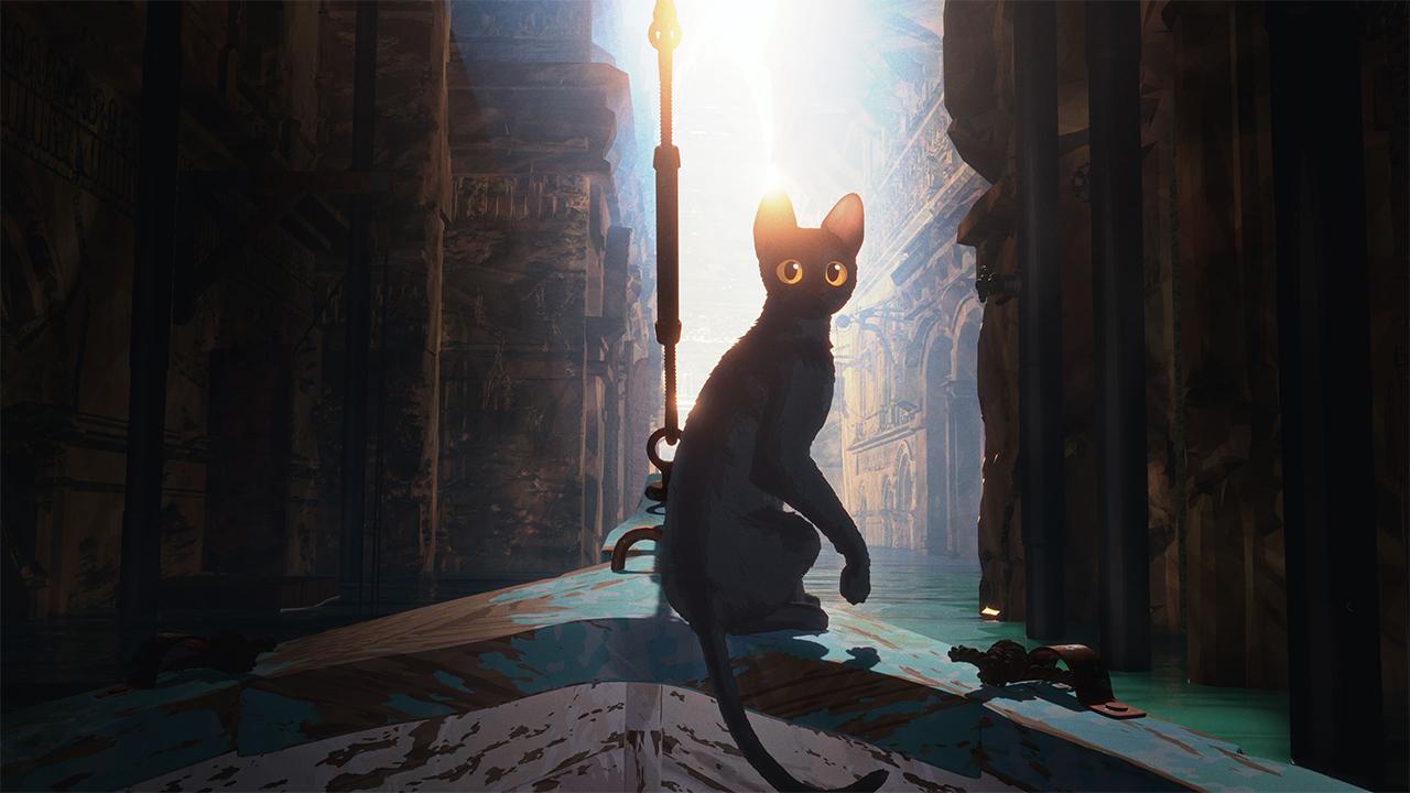 فيلم - الفيضان - شركة Dream Well Studio فيلم - الفيضان - شركة Dream Well Studio