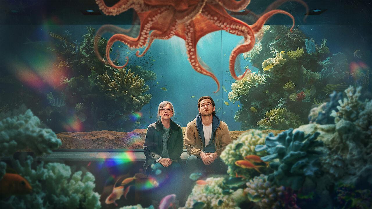 فيلم - مخلوقات مشرقة بشكل مبهر - نتفليكس